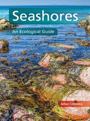 cover image of Seashores